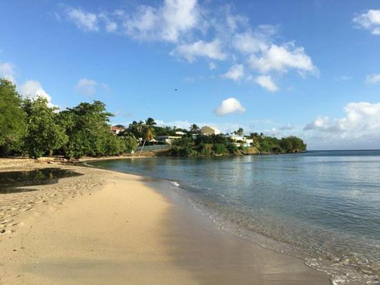 Nouveau Domaine De Mabouya Vue Mer Et Proximite Plage Sainte-Luce Exterior photo